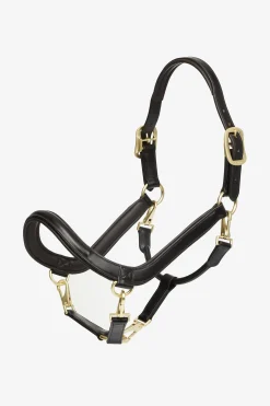 LeMieux Leder Grooming Halfter* Lederhalfter