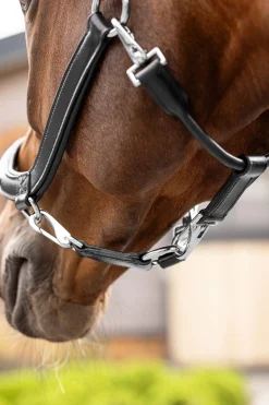 LeMieux Leder Grooming Halfter* Lederhalfter
