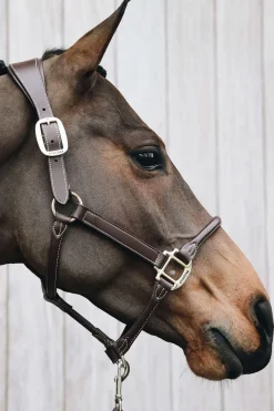 Kentucky Horsewear Lederhalfter Anatomic* Lederhalfter