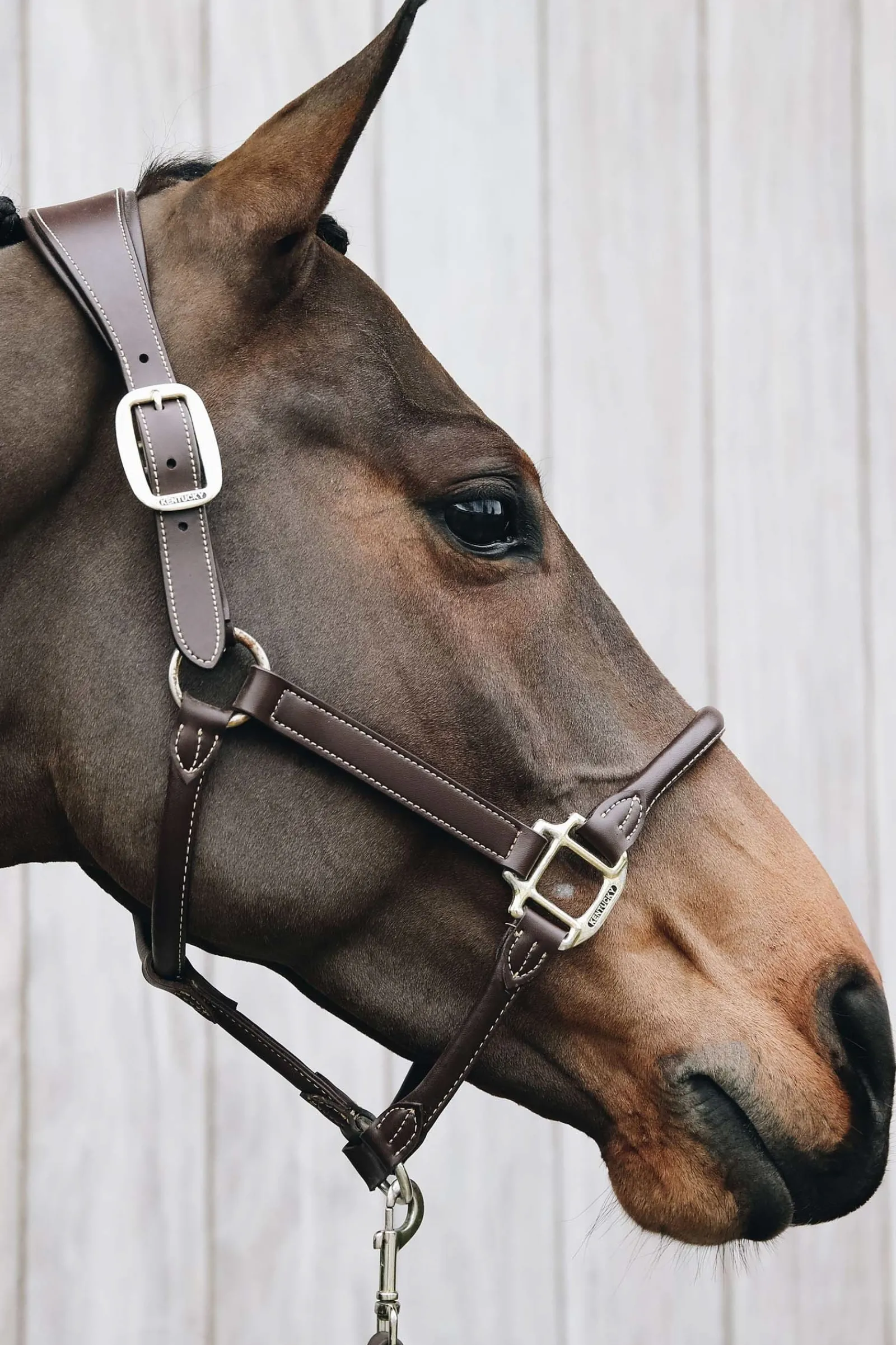 Kentucky Horsewear Lederhalfter Anatomic* Lederhalfter