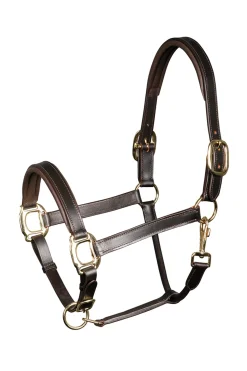 Harry's Horse Lederhalfter unterlegt* Halfter