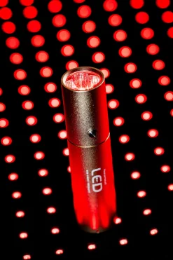 Horseware LED-Rotlicht-Therapie Stab* Therapie-Decken|Therapie-Decken