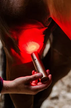 Horseware LED-Rotlicht-Therapie Stab* Therapie-Decken|Therapie-Decken