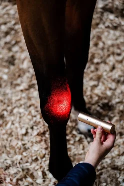 Horseware LED-Rotlicht-Therapie Stab* Therapie-Decken|Therapie-Decken