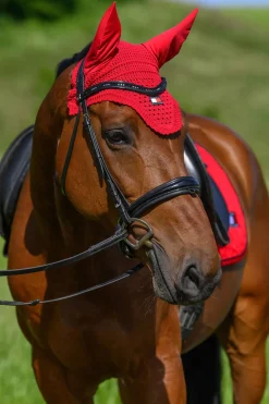 Tommy Hilfiger Equestrian Lexington Fliegenhaube* Ohrenhauben|Ohrenhauben