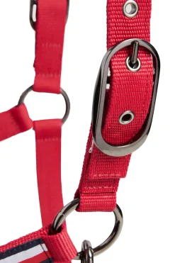 Tommy Hilfiger Equestrian Lincoln Halfter* Halfter