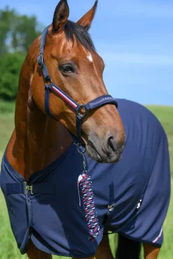 Tommy Hilfiger Equestrian Lincoln Halfter* Halfter