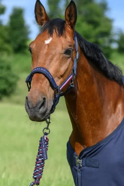 Tommy Hilfiger Equestrian Lincoln Halfter* Halfter