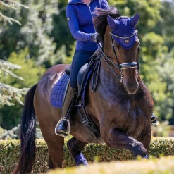 LeMieux Loire Fliegenhaube* Ohrenhauben|Ohrenhauben