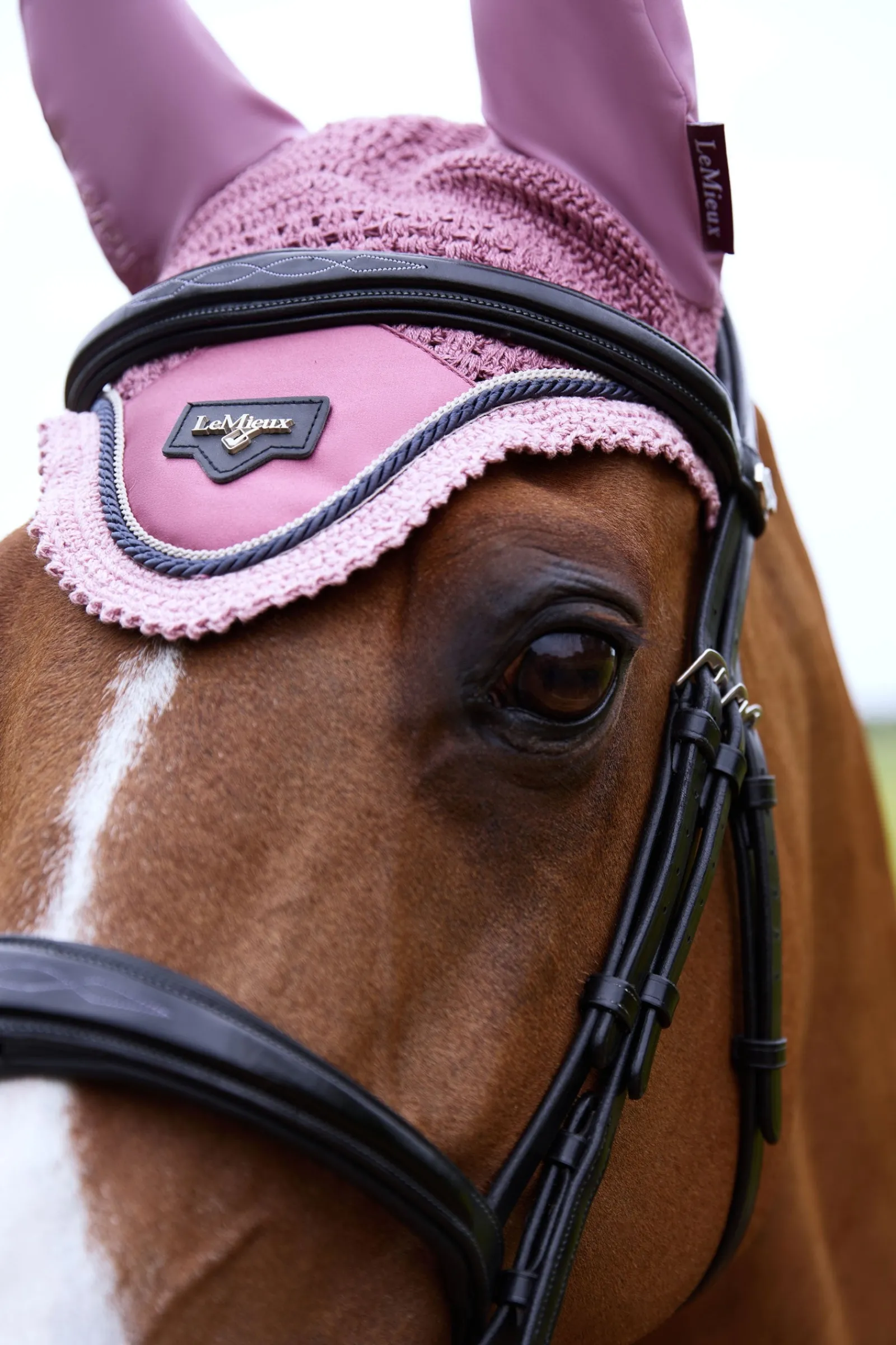 LeMieux Loire Satin Fliegenhaube* Ohrenhauben|Ohrenhauben