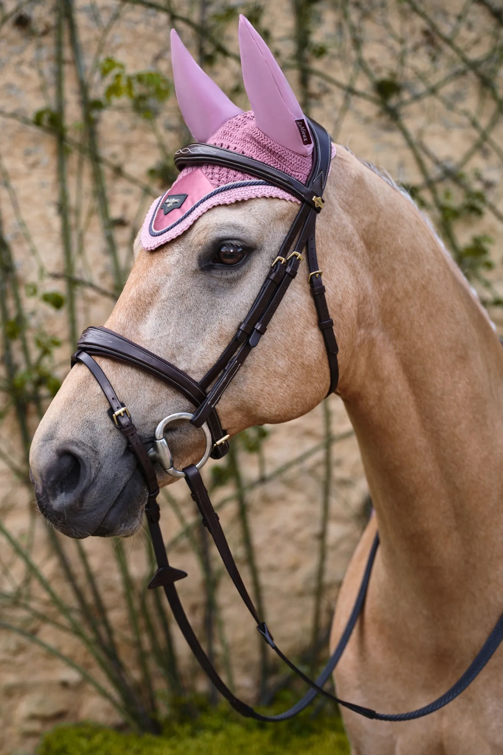 LeMieux Loire Satin Fliegenhaube* Ohrenhauben|Ohrenhauben