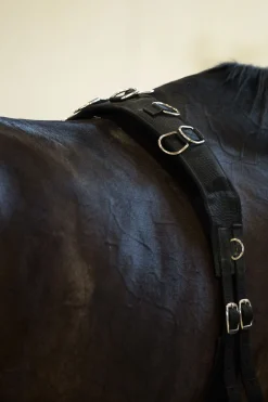Horze Longiergurt, Nylon* Longier- Und Trainingsausrüstung|Longen & Longierhilfen