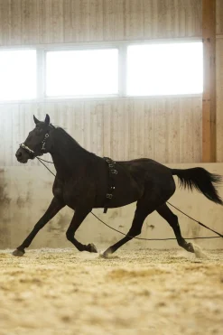 Horze Longiergurt, Nylon* Longier- Und Trainingsausrüstung|Longen & Longierhilfen
