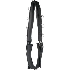 Harry's Horse Luxe Longiergurt* Longier- Und Trainingsausrüstung|Longen & Longierhilfen