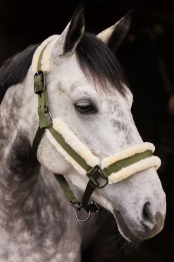 Horze Marquess Halfter mit Kunstfellfutter* Halfter