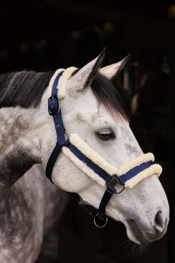 Horze Marquess Halfter mit Kunstfellfutter* Halfter