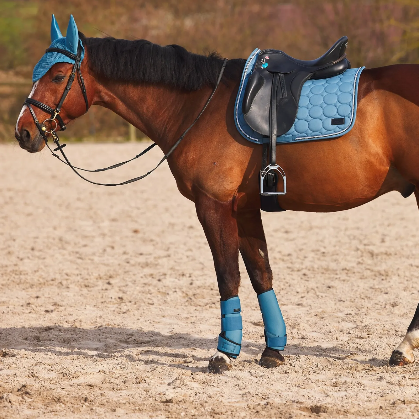 Horze Marquess Neopren-Gamaschen* Dressurgamaschen