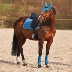 Horze Marquess Neopren-Gamaschen* Dressurgamaschen