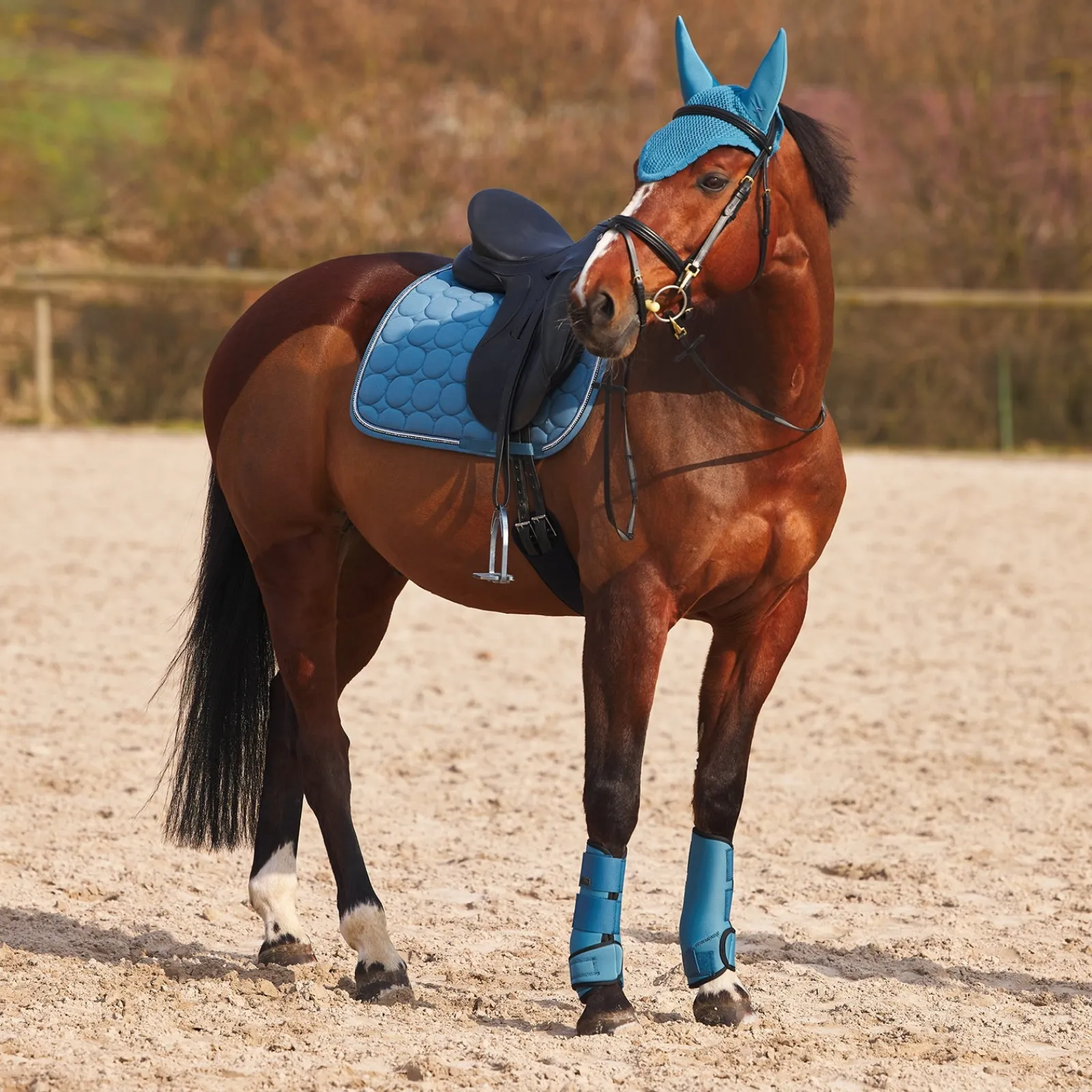 Horze Marquess Neopren-Gamaschen* Dressurgamaschen
