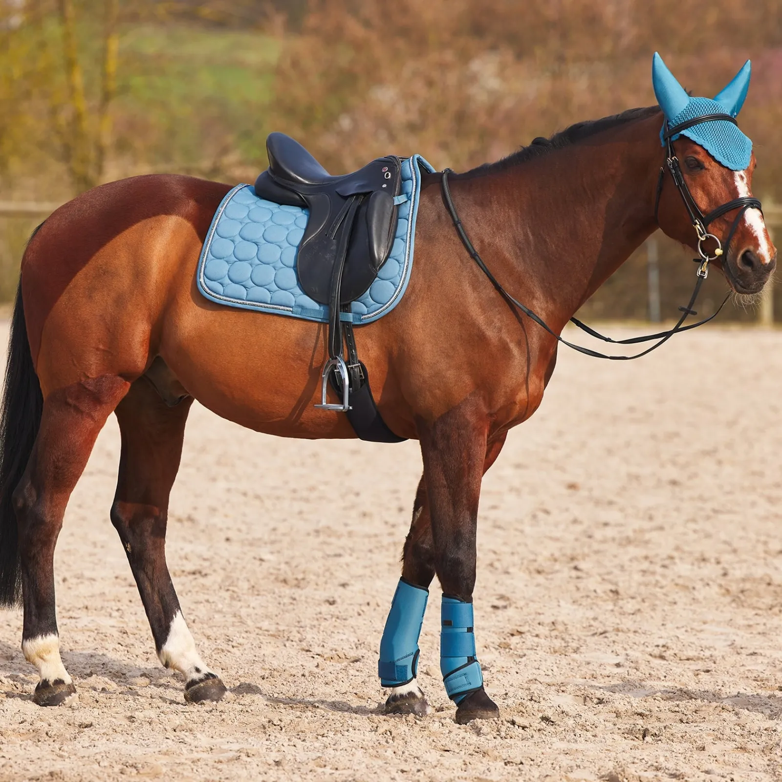 Horze Marquess Neopren-Gamaschen* Dressurgamaschen