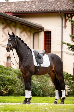 LeMieux Merino+ Dressurschabracke, halb gefüttert* Dressurschabracken