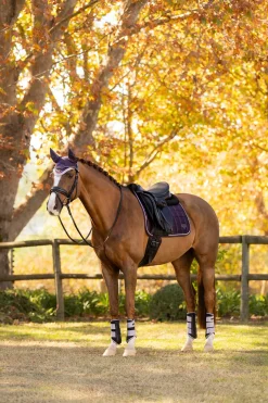 LeMieux Merino+ Loire Classic Dressur-Satteldecke* Dressurschabracken