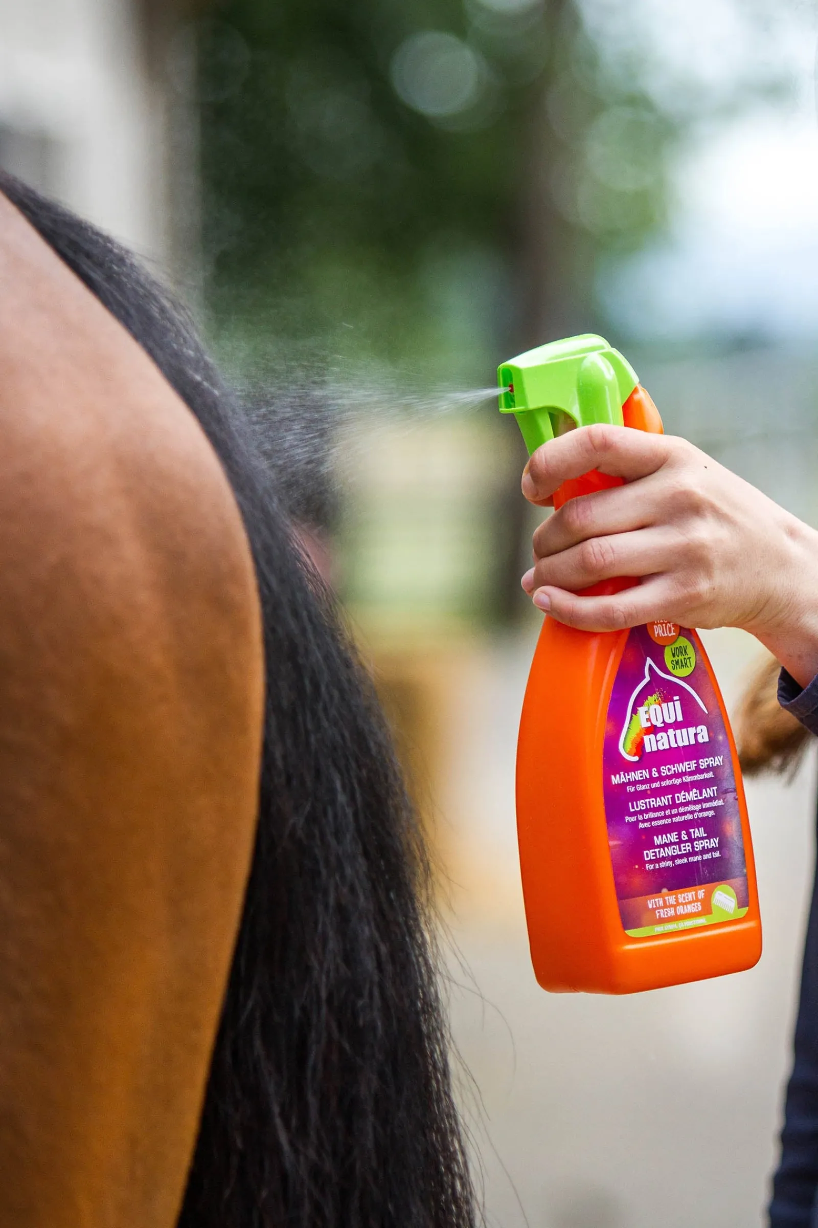 Equinatura Mähnen & Schweif Spray, 1000 ml* Haar- & Mähnen- & Schweifpflege