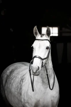 Horseware Micklem gebisslose Trense* Trensen & Nasenriemen