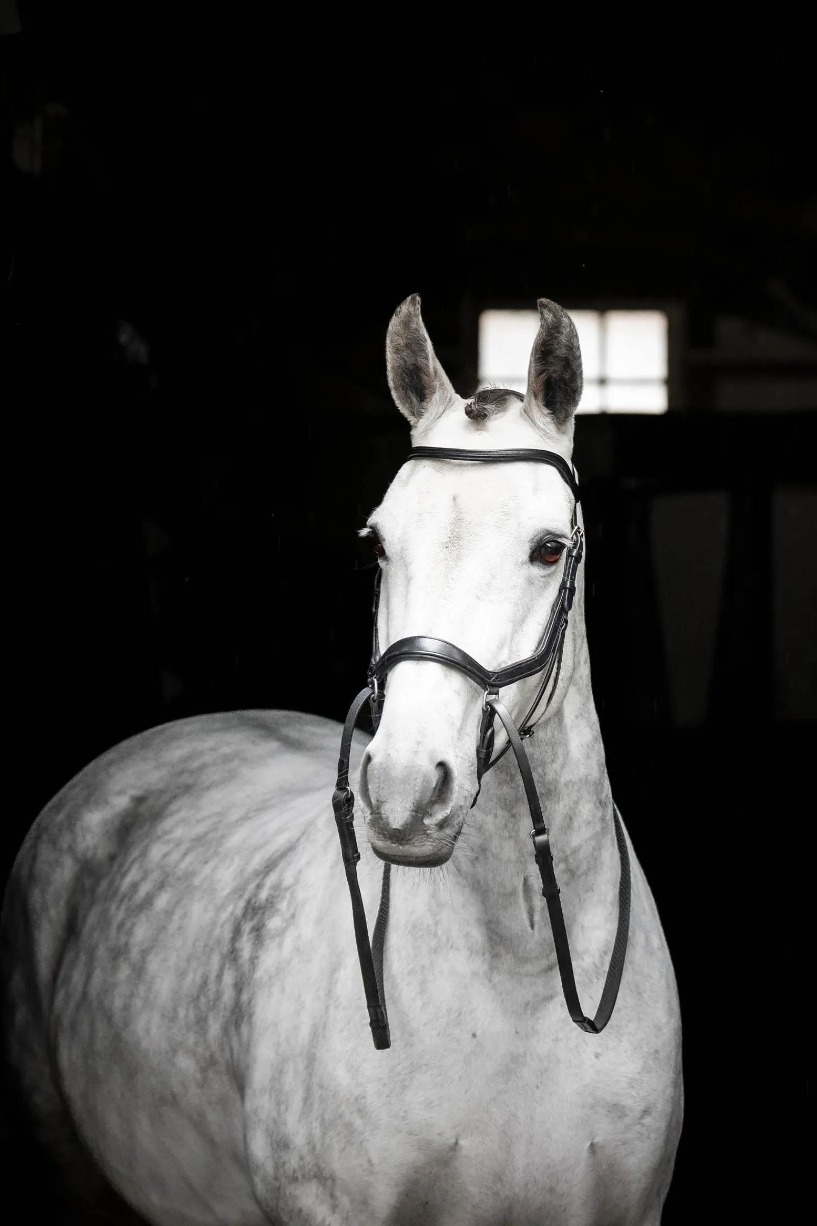 Horseware Micklem gebisslose Trense* Trensen & Nasenriemen