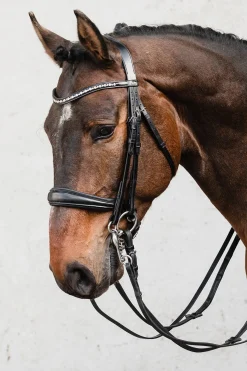 Schockemöhle Sports Milton Anatomische Kandare* Trensen & Nasenriemen