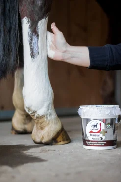 Leovet Mineral Pack mit Arnika* Stallapotheke|Sonstige Therapie- & Massageartikel
