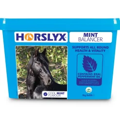 Horslyx Mint, 5kg* Salzlecksteine & Halterungen
