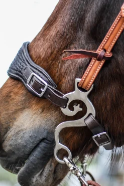 F.R.A. Freedom Riding Articles Music Set Barock Hackamore SS, 140mm* Hackamores