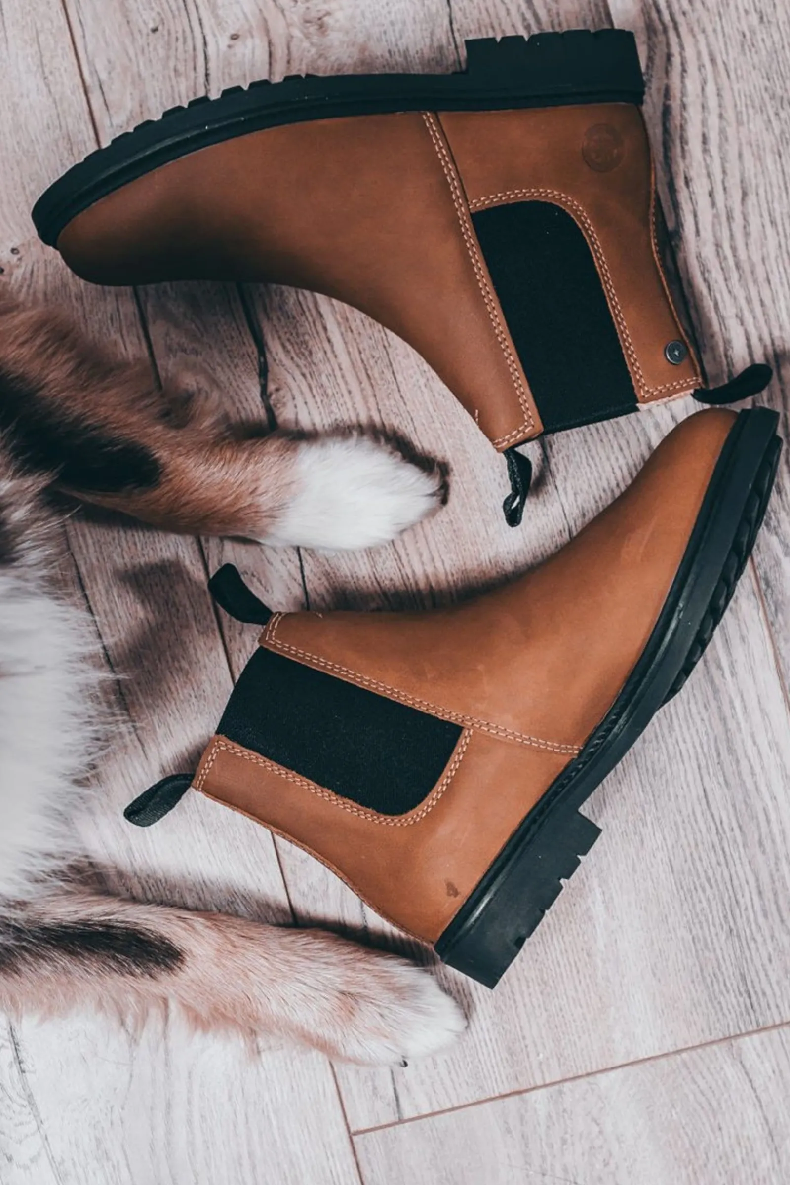 Suedwind Footwear New Work Chelsea Boots* Reitstiefeletten