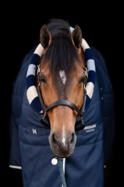 Horseware Newmarket Cosy Stalldecke 100g* Stall- & Unterdecken