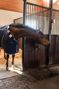 Horseware Newmarket Cosy Stalldecke 100g* Stall- & Unterdecken