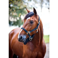Finntack Nylon-Halfter, gepolstert* Halfter