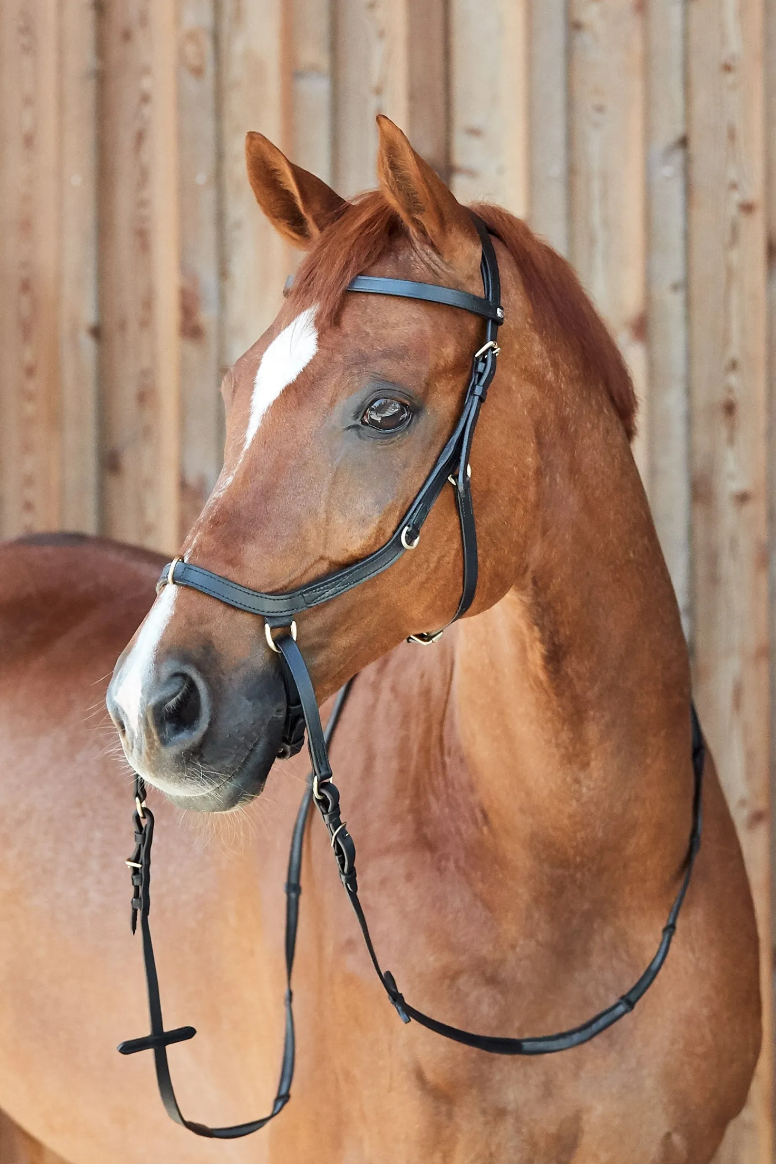 Horze Orlando Kombinierte Anatomische Gebisslose Trense* Trensen & Nasenriemen