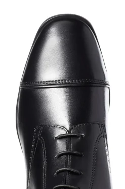 Ariat Palisade Damen Reitstiefel* Reitstiefel