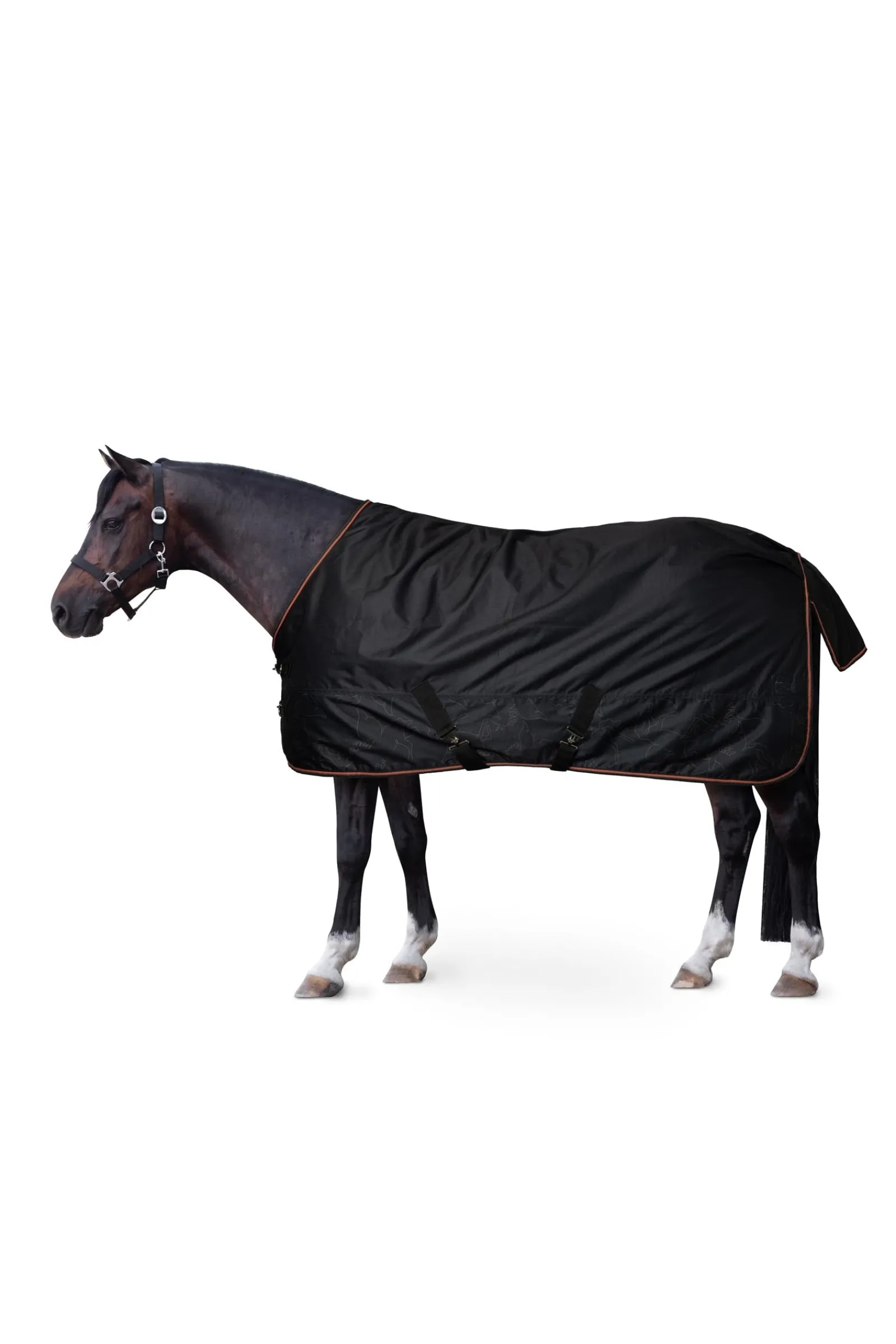 Horze Pegasus Pony Regendecke mit Fleecefutter* Ponydecken|Ponydecken