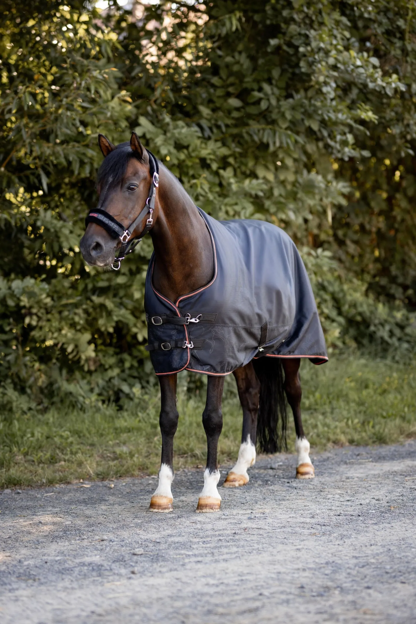Horze Pegasus Pony Regendecke mit Fleecefutter* Ponydecken|Ponydecken