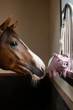 LeMieux Pferdespielzeug Fliegendes Schwein* Reithallen-Zubehör|Pferdespielzeug