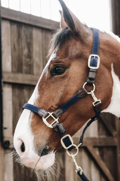 Kentucky Horsewear Plaited Nylon Stallhalfter* Halfter