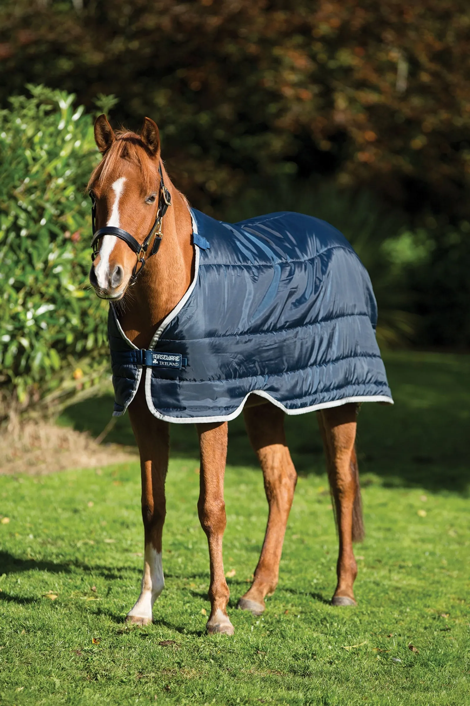 Horseware Pony Unterdecke, 100g* Ponydecken|Ponydecken