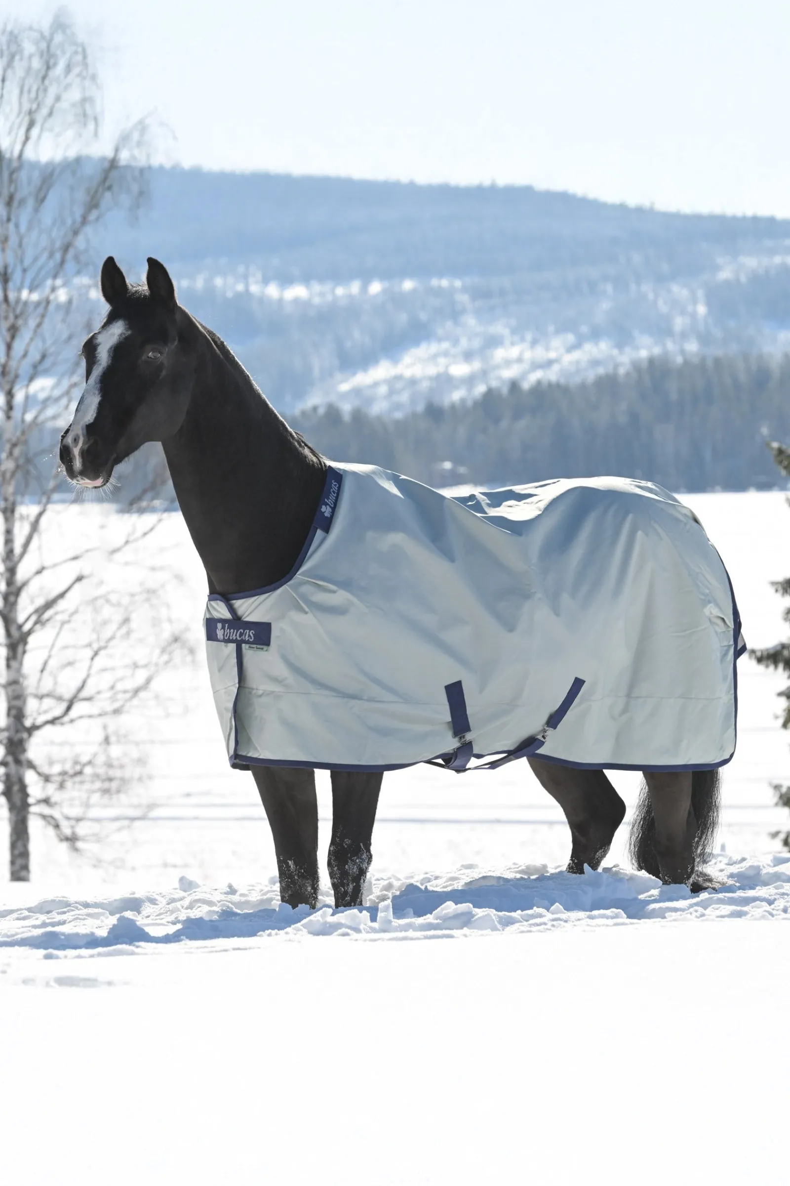 Bucas Power Extra Weidedecke mit Abschwitzfunktion, 300g* Mittelschwere & Schwere Winterdecken