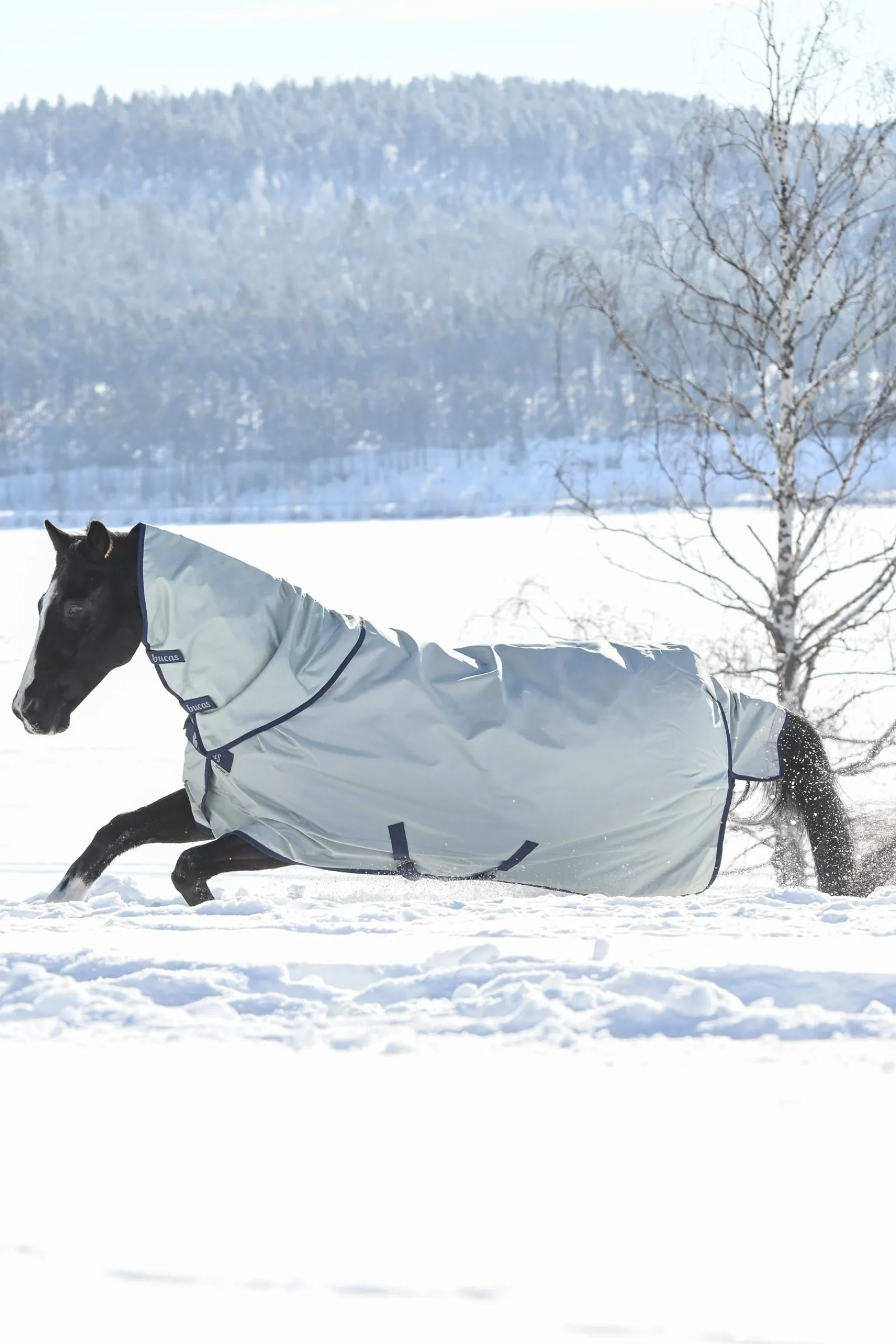 Bucas Power Extra Weidedecke mit Abschwitzfunktion, 300g* Mittelschwere & Schwere Winterdecken