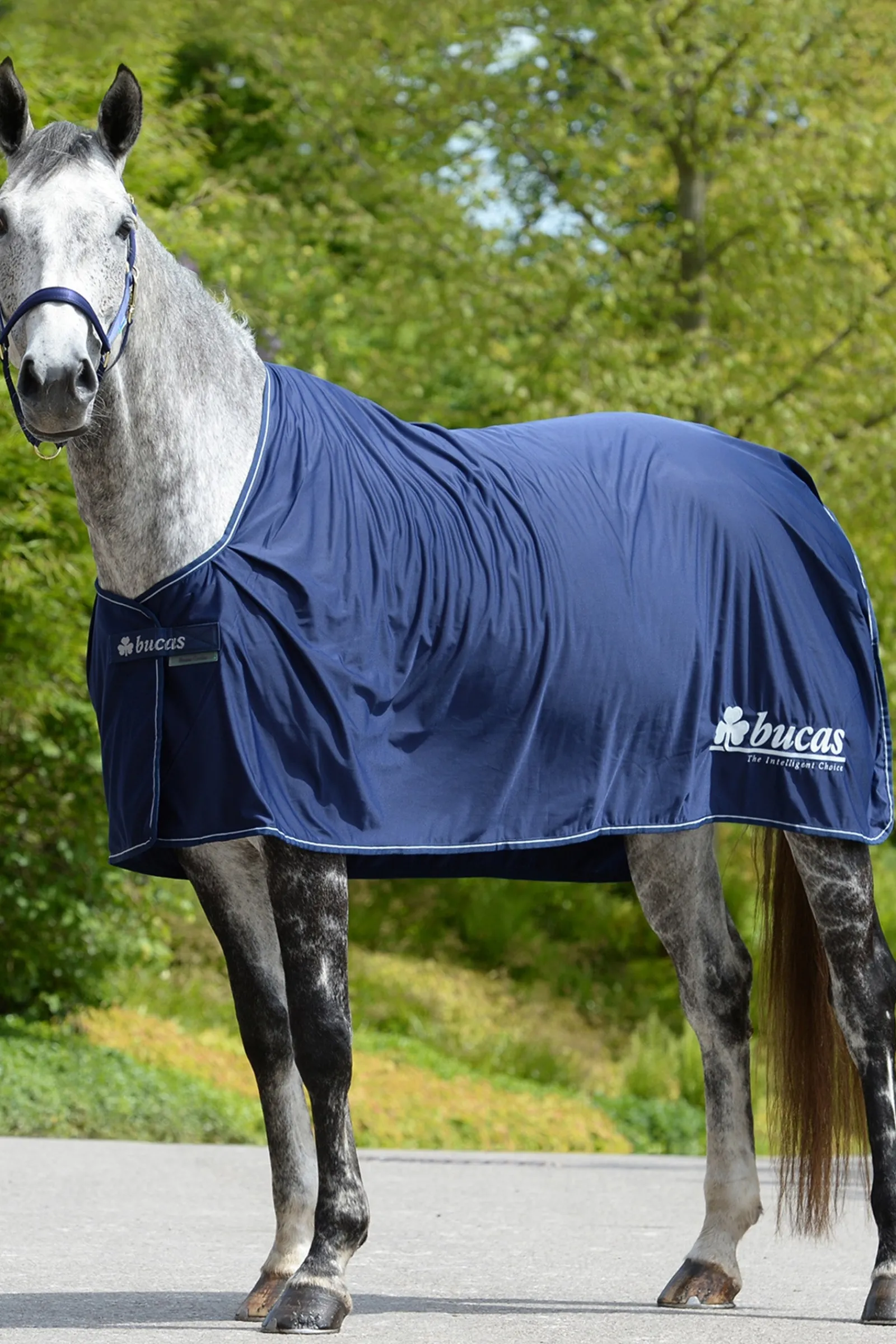 Bucas Power Prize Cooler Abschwitzdecke* Abschwitzdecken
