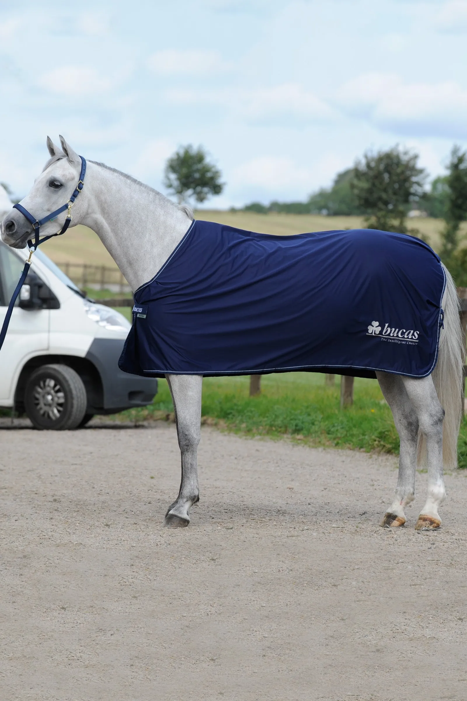 Bucas Power Prize Cooler Abschwitzdecke* Abschwitzdecken