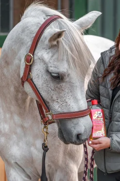 Leovet Power Shampoo Kamille für helles Haar* Haar- & Mähnen- & Schweifpflege