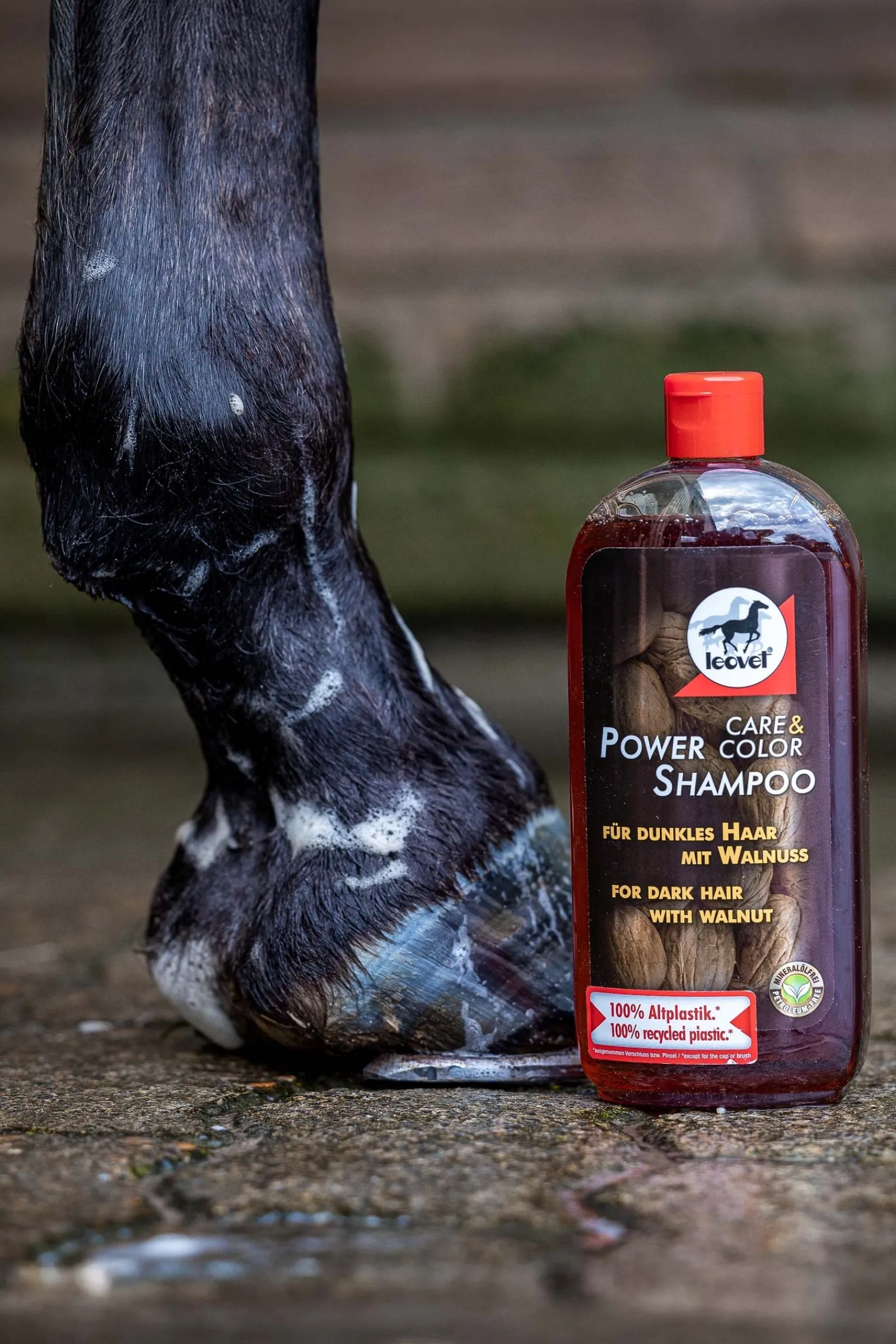 Leovet Power Shampoo Walnuss* Haar- & Mähnen- & Schweifpflege